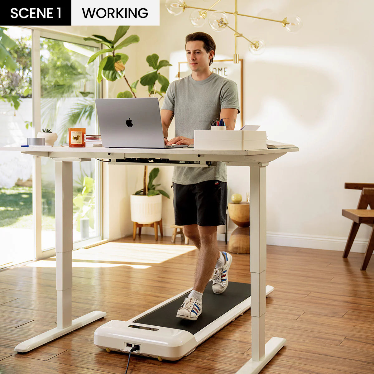 C2 Foldable Walking Treadmill